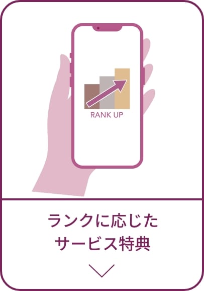 根据等级的服务优惠